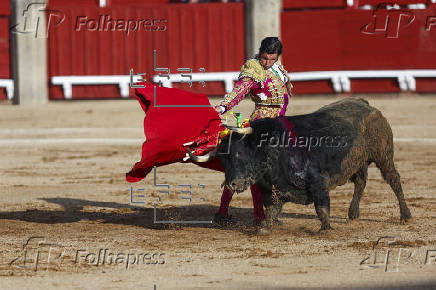 Toros en Toledo