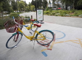 Alphabet Inc, the parent company of Google to report earnings