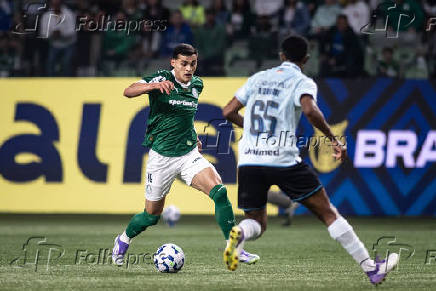 PALMEIRAS-GREMIO: CAMPEONATO BRASILEIRO SERIE A 2025