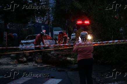 Árvores caídas destroem carros em Perdizes- SP
