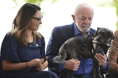 Lula lança Identificação de Cães e Gatos
