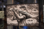 Exposição de Quadros de Sebastião Salgado