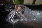 Truck driver cools off in groundwater pumped to irrigate fields in Daska