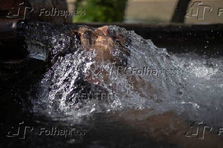 Truck driver cools off in groundwater pumped to irrigate fields in Daska