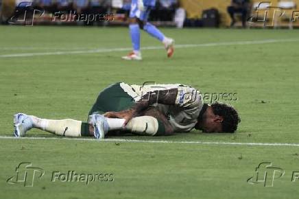 Inter miami fc vs palmeiras :fifa club world cup.