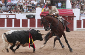 Toros en Zamora