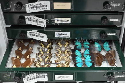 CSIRO facility in Australia safeguards 13 million biodiversity specimens