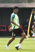 Alvarado asegura que la selección es su prioridad y por eso dijo no al Mundial de clubes