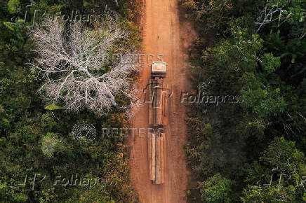 Illegal loggers are key players in carbon credit schemes in Brazil