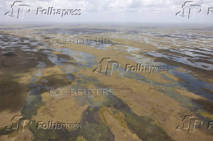 An aerial view of the Everglades
