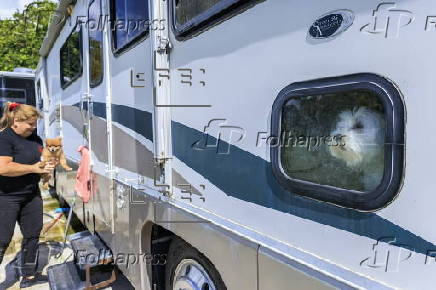 Animal NGO rescues homeless pets after owners deported from the US