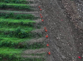 Rescue work after the landslide in Qingyang Village