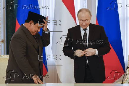 Russian President Putin meets Indonesian President Subianto in St. Petersburg