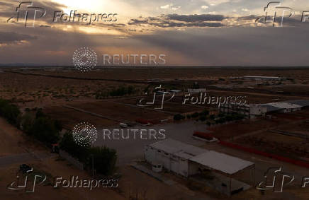 U.S. halts Mexican cattle imports over screwworm outbreak