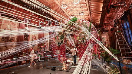 Flowertime 2025 in Brussels