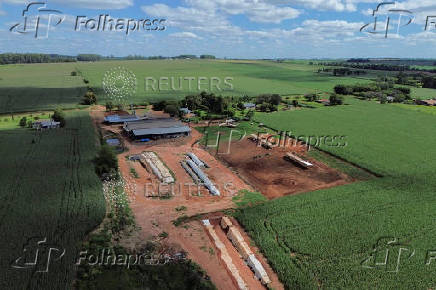 Soybean harvest in Paraguay