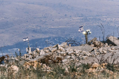 A 25 años del fin de la ocupación, los libaneses vuelven a vivir entre tropas de Israel
