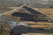 A view shows burnt farms, after an Israeli settlers attack in Al Mughayyir near Ramallah