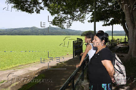 Planta acuática que cubre lago turístico de El Salvador afecta a pescadores y restaurantes