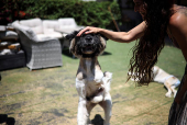 Hadar Gutman - care taker of dogs during war time in Israel