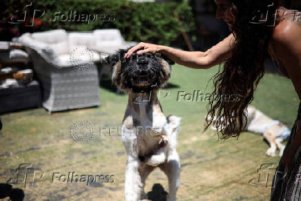 Hadar Gutman - care taker of dogs during war time in Israel