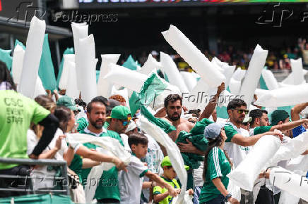 Partida entre Palmeiras e Botafogo no Mundial de Clubes da fifa