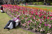 A woman poses next to blooming flowers in Victoria Embankment Gardens, London