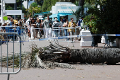 The 78th Cannes Film Festival