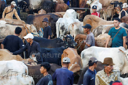 Traders sell their cows at a cattle market, ahead of the Muslim festival of sacrifice, Eid al-Adha, in Bogor