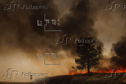 Wildfires in Portugal