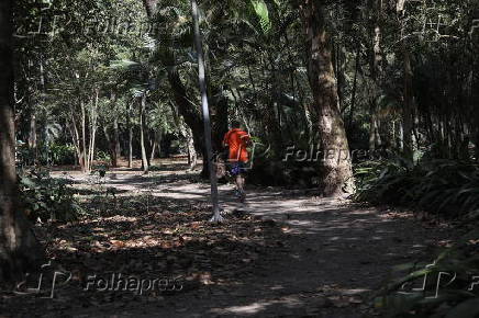 Movimentação no Parque Ibirapuera em São Paulo