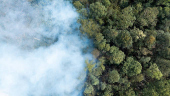 Incêndio em mata próxima ao bairro de Perus margeando o Rodoanel, em São Paulo