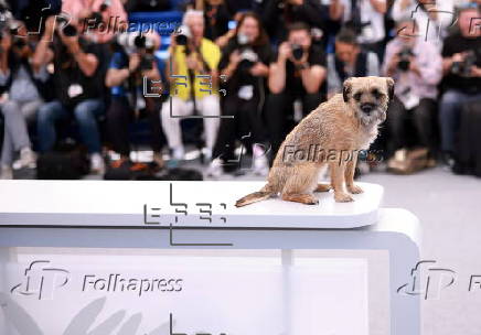 Directors of Short Films in Competition - Photocall - 78th Cannes Film Festival