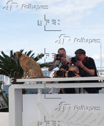 Directors of Short Films in Competition - Photocall - 78th Cannes Film Festival