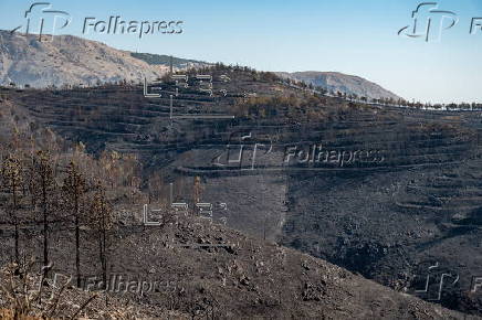 Wildfire continues on Chios Island as evacuations expand