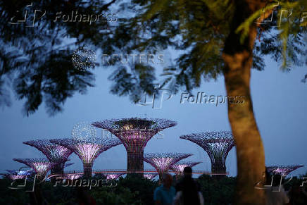 People take photos of the Supertree Grove at Gardens by the Bay in Singapore