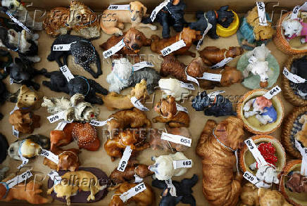 Numbered dog-related figures are seen while Gabarro's relatives and friends count them for the Guinness World Record in Terrassa