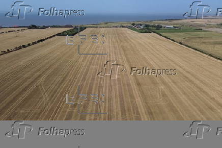 UK farms face extremely dry conditions after higher-than-average temperatures