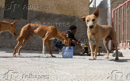 Somali man defies taboo to care for Mogadishu?s stray dogs and cats