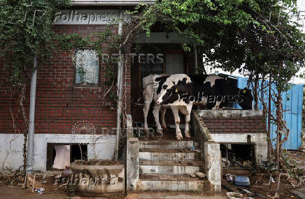 Aftermath of torrential rain, in Yesan