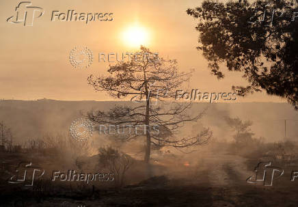A firefighter uses a hose to cool a burnt area during a wildfire at the area of Souni near Limassol