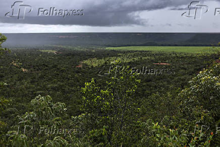 Vale do rio Uruçuí-Preto no Cerrado piauiense