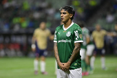 Partida entre PALMEIRAS X CERRO PORTENO (PAR) pela Copa Libertadores da América