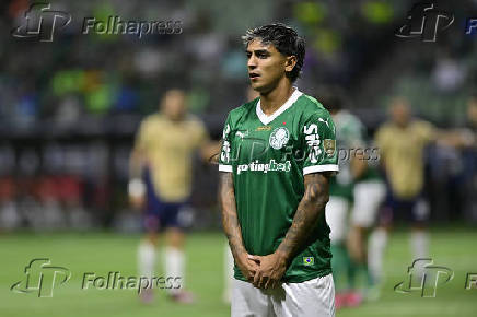 Partida entre PALMEIRAS X CERRO PORTENO (PAR) pela Copa Libertadores da América