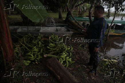 AMAZONAS, CHEIA DO RIO SOLIMOES