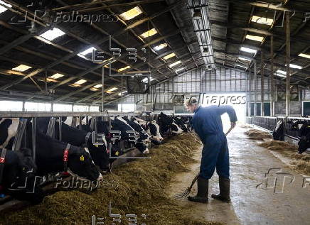 Sustainable farming efforts advance in North Holland dairy farms