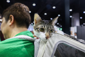 Pet Expo Thailand in Bangkok
