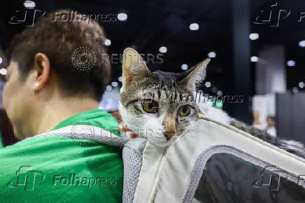 Pet Expo Thailand in Bangkok