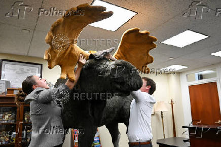 Marty, the Moose, and Kodak, the Bear, are installed on Capitol Hill in Washington