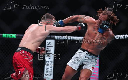 UFC Fight Night 193 in Abu Dhabi